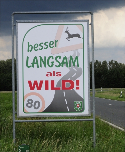 Schild Wildunfall von K-H Volkmar Juni 2011 Wildschild