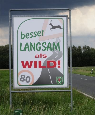 Wildschild